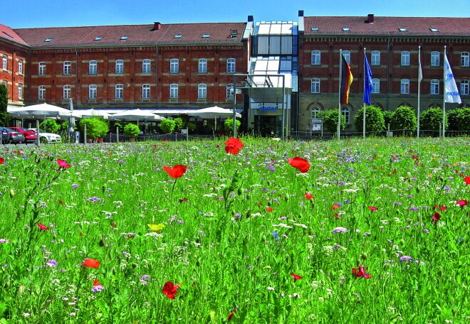 Reinigungskraft/Public Area Cleaner (m/w/d), 1. Bild